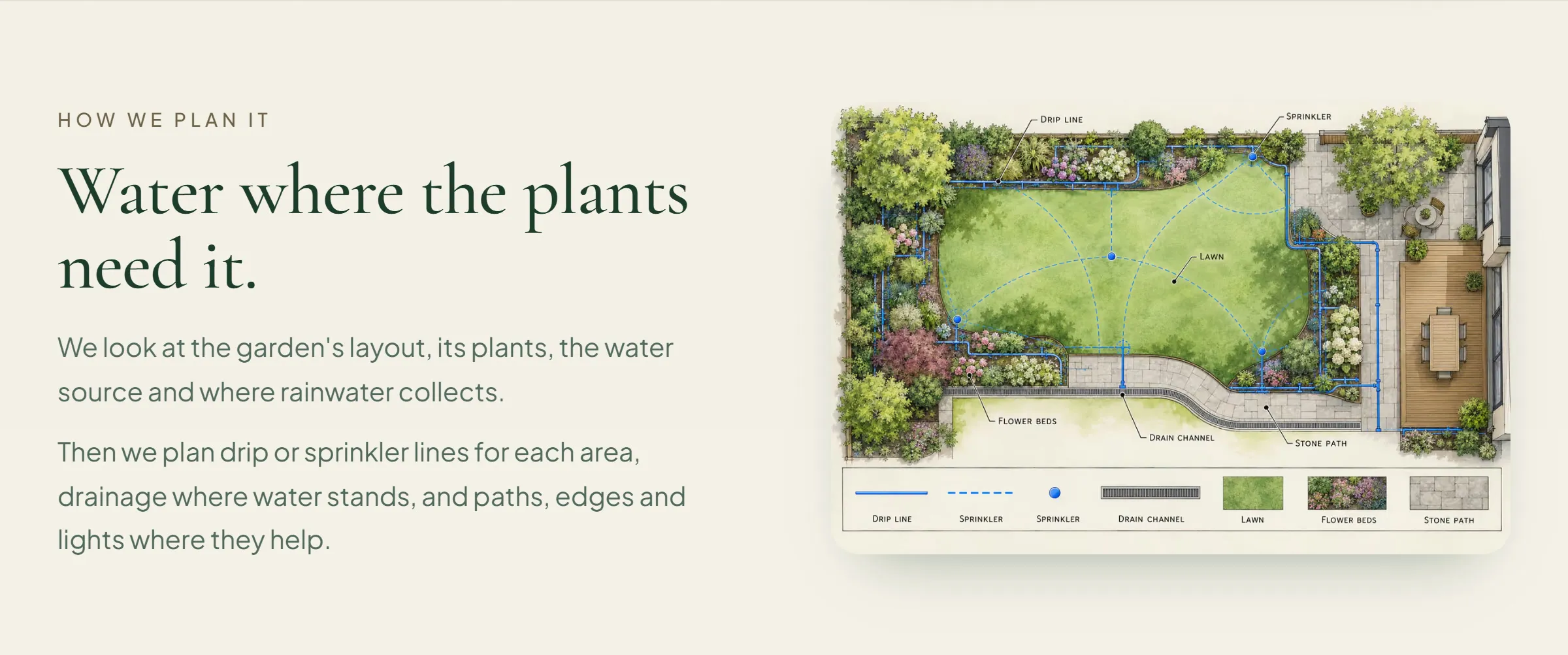 An illustrated garden plan with blue drip lines over a lawn and planting